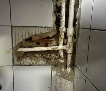 Banyo ve Tuvalet Tadilatı
